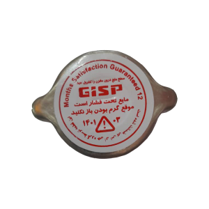 درب رادیاتور نیسان (591601) – Gisp