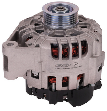 دینام (429140) Gisp - Tu5/H30 دینام (429140) Gisp – Tu5/H30