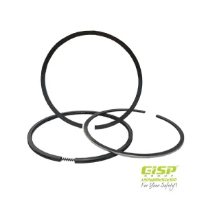 رینگ موتور استاندارد روآ (432962) – Gisp