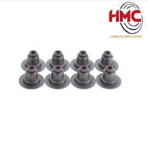 لاستیک سوپاپ تیبا – HMC