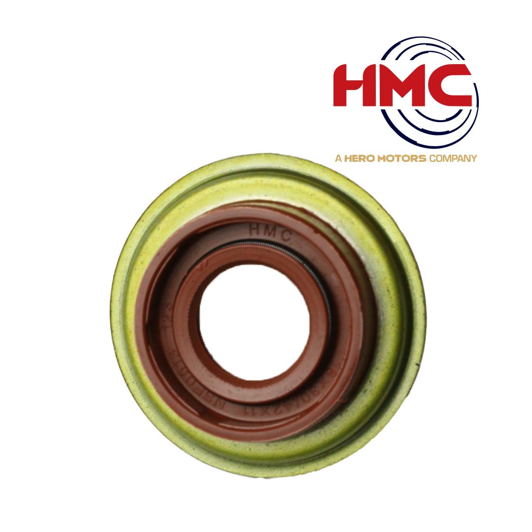 کاسنمد ماهک 405 - HMC کاسنمد ماهک 405 – HMC