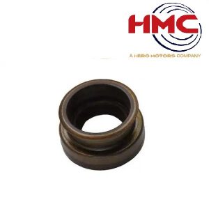 کاسنمد ماهک پراید – HMC