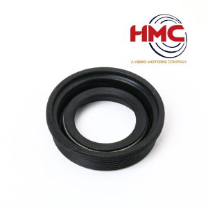 کاسنمد پلوس بزرگ 405 – HMC